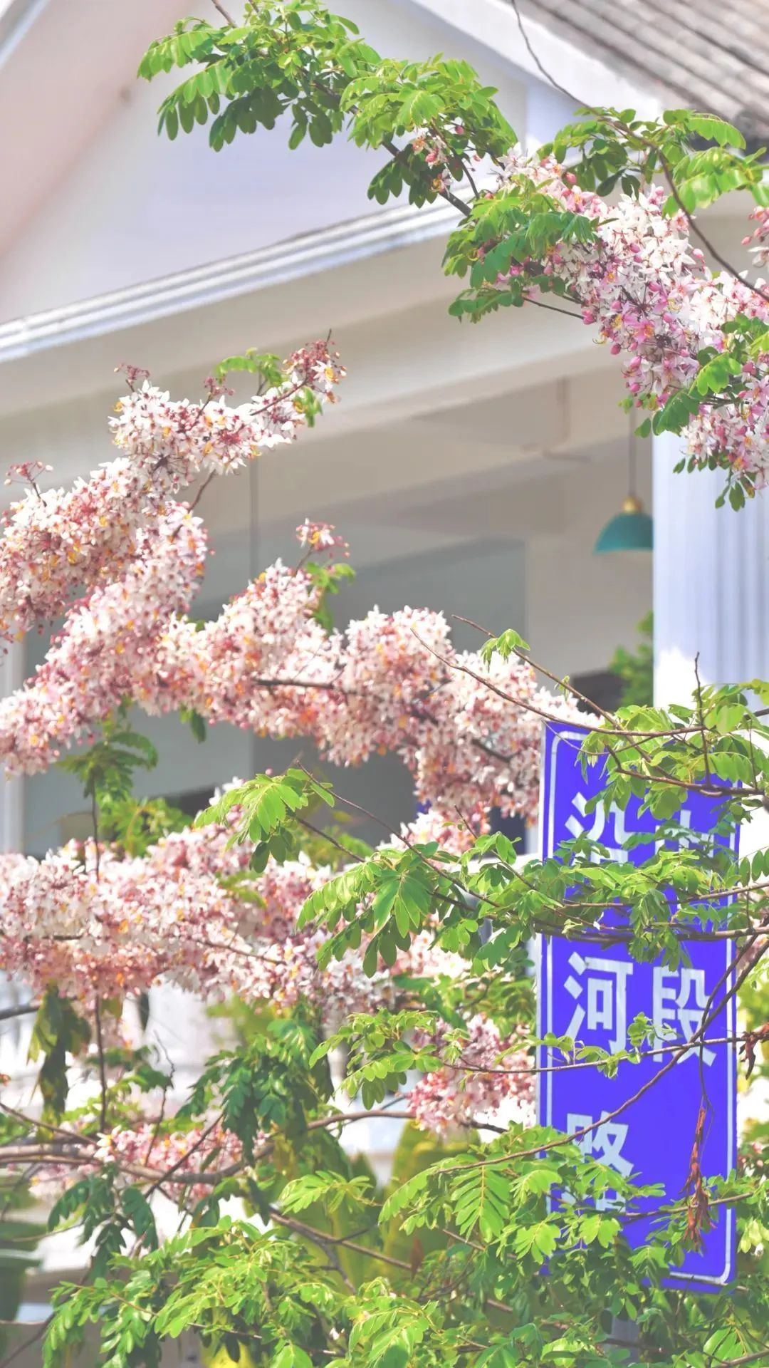 普洱日报