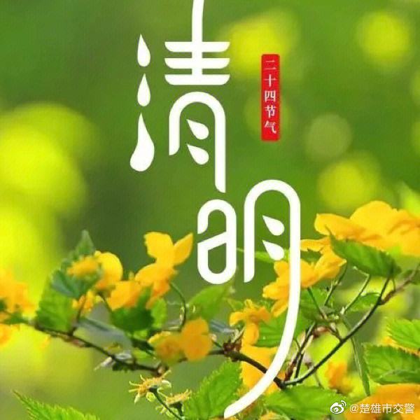 楚雄市清明节道路交通“两公布一提示