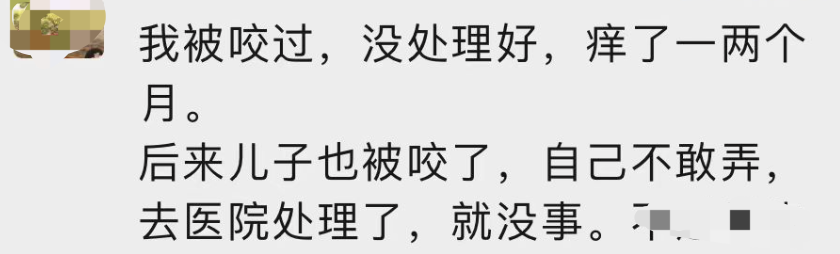 昆明信息港/cnkmxxg