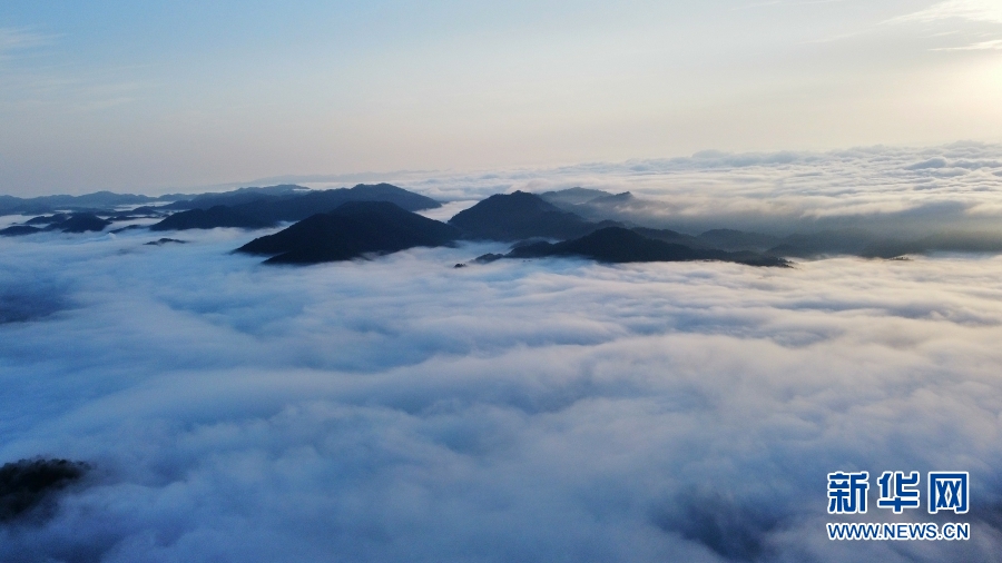 云南省文化和旅游厅