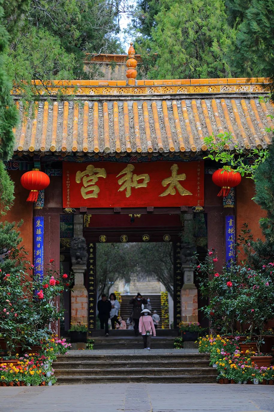 微观盘龙