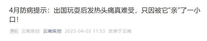 昆明信息港/cnkmxxg
