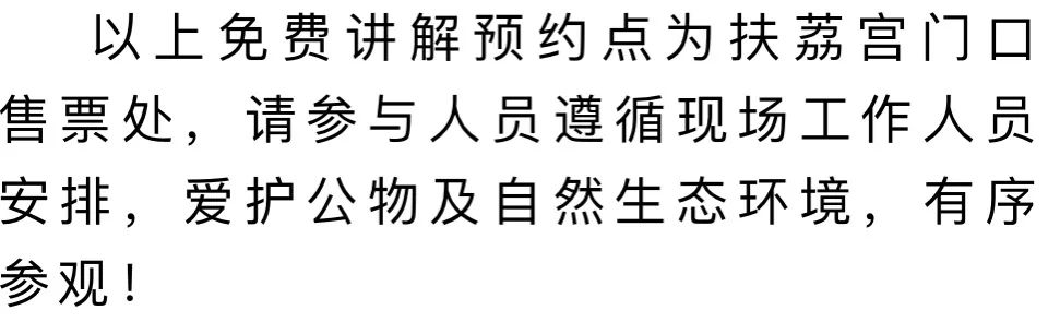 微观盘龙