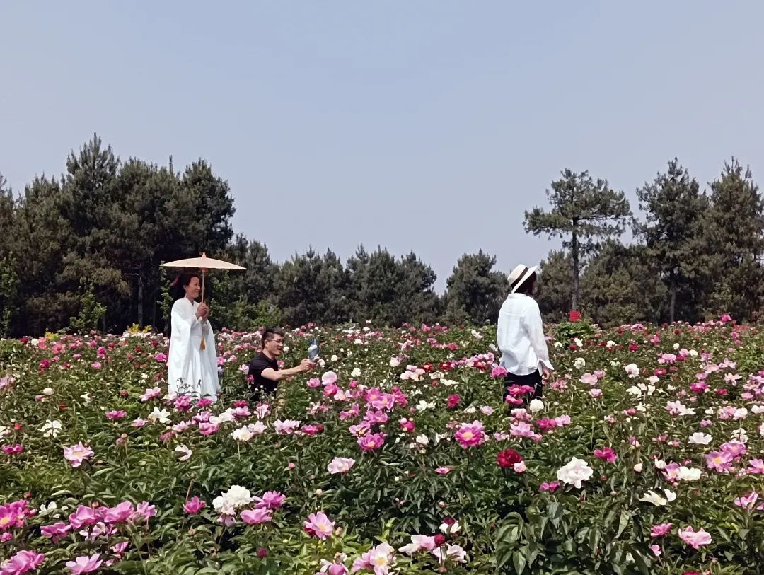 昆明信息港/cnkmxxg