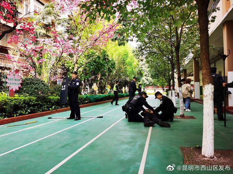 昆明市西山区发布