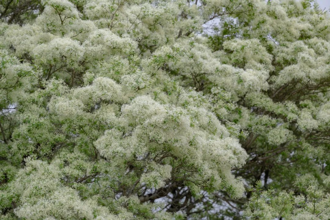 保山广播电视台