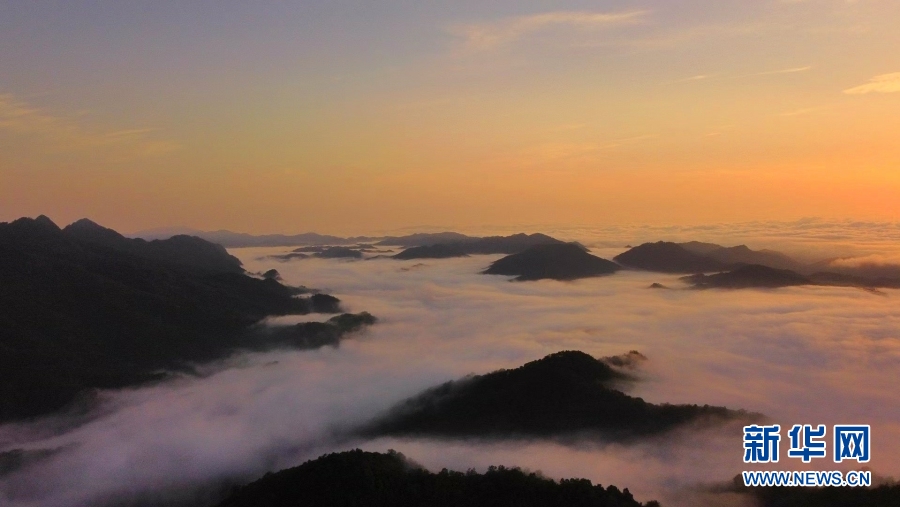 云南省文化和旅游厅