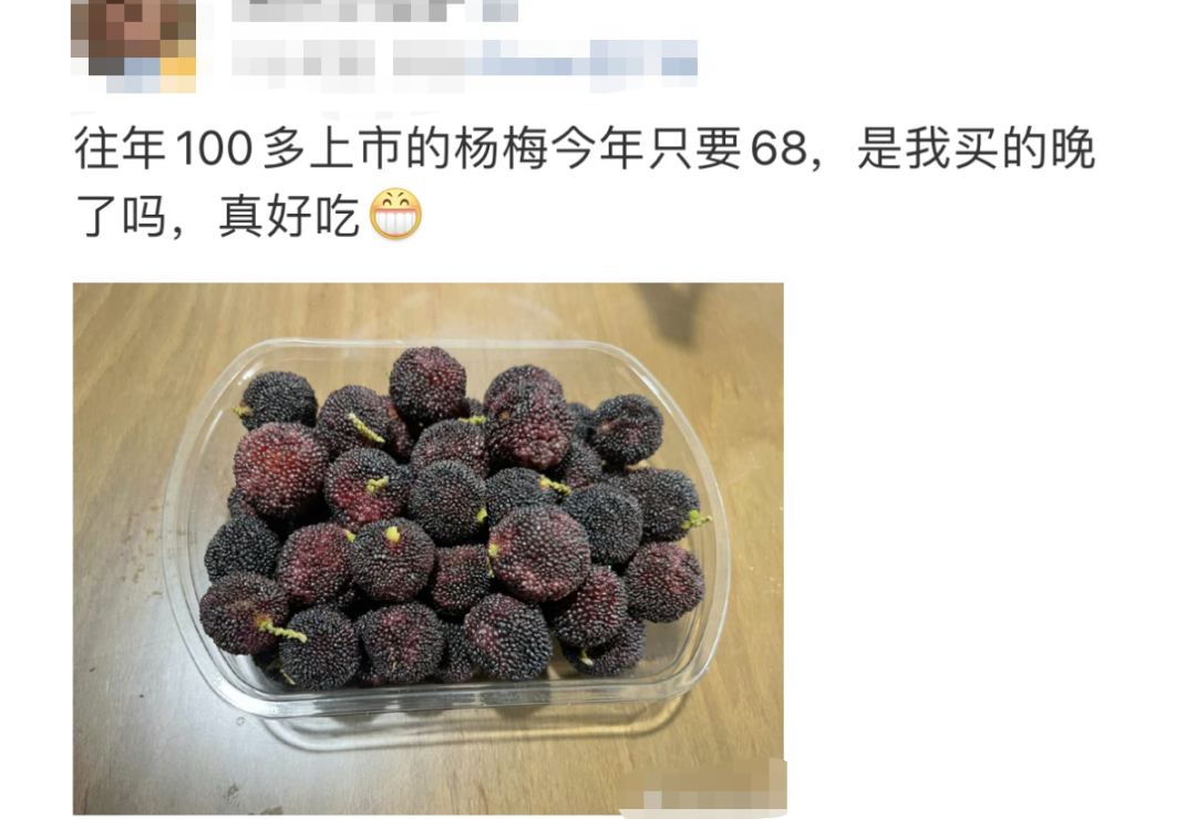 春城晚报