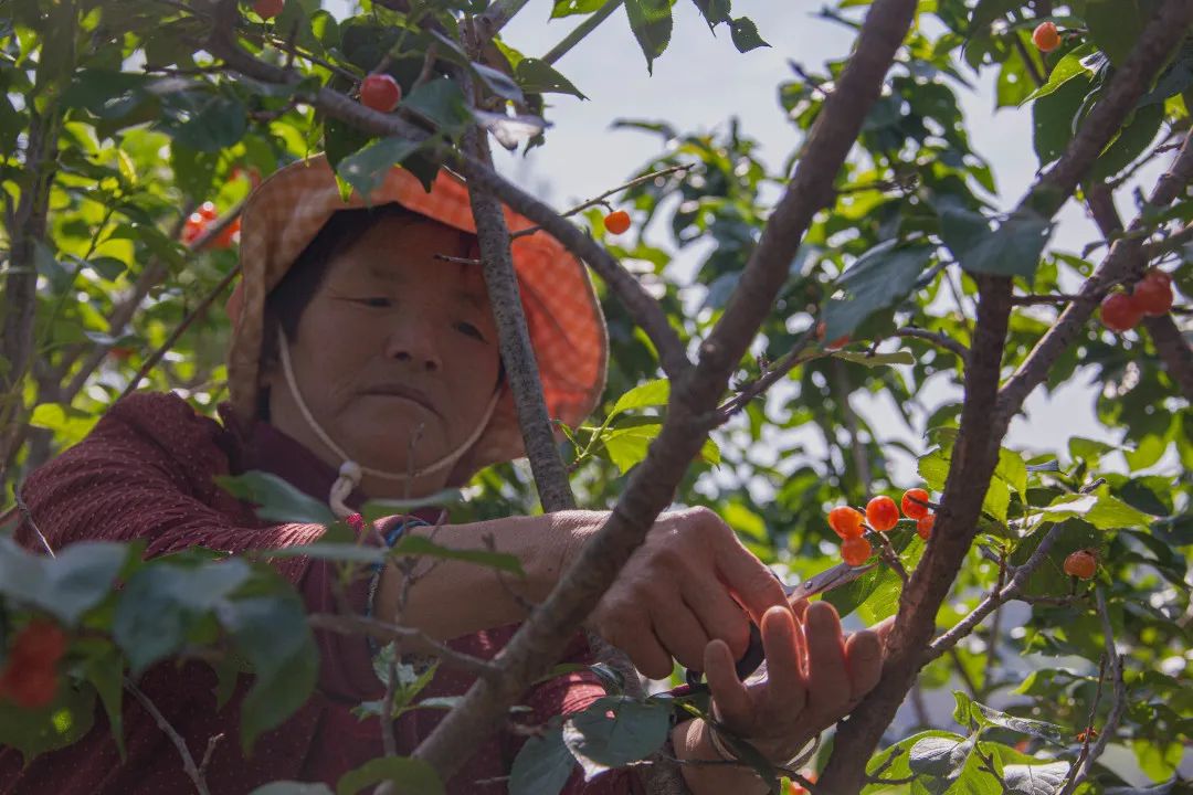 晋宁诗意的栖居地