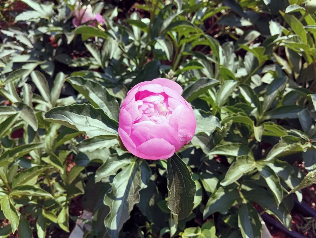 昆明信息港/cnkmxxg