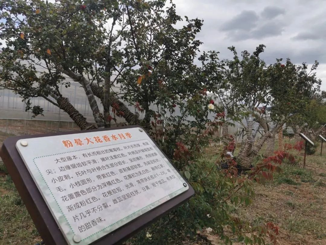 昆明市农业农村局