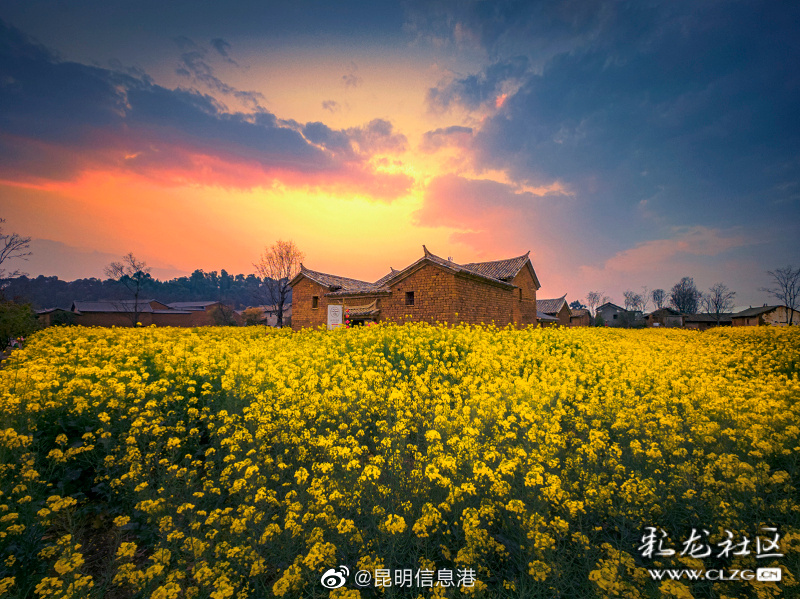 昆明信息港（微博）