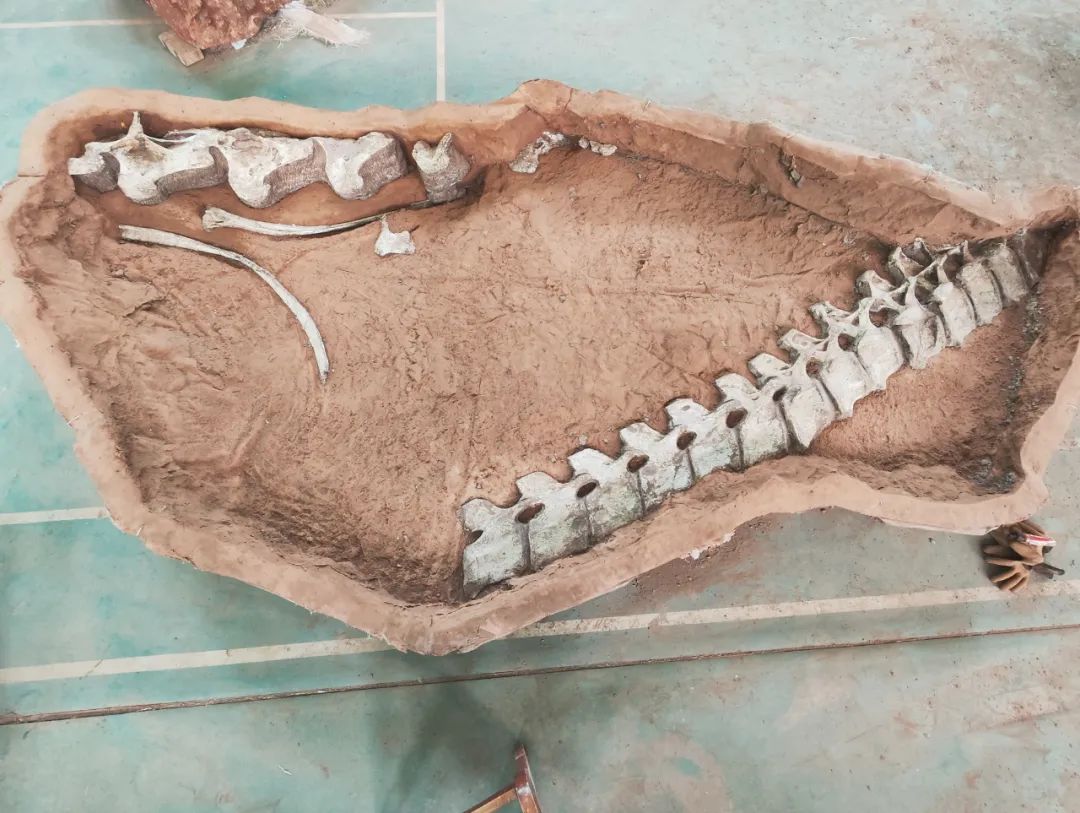 美丽云南微科普