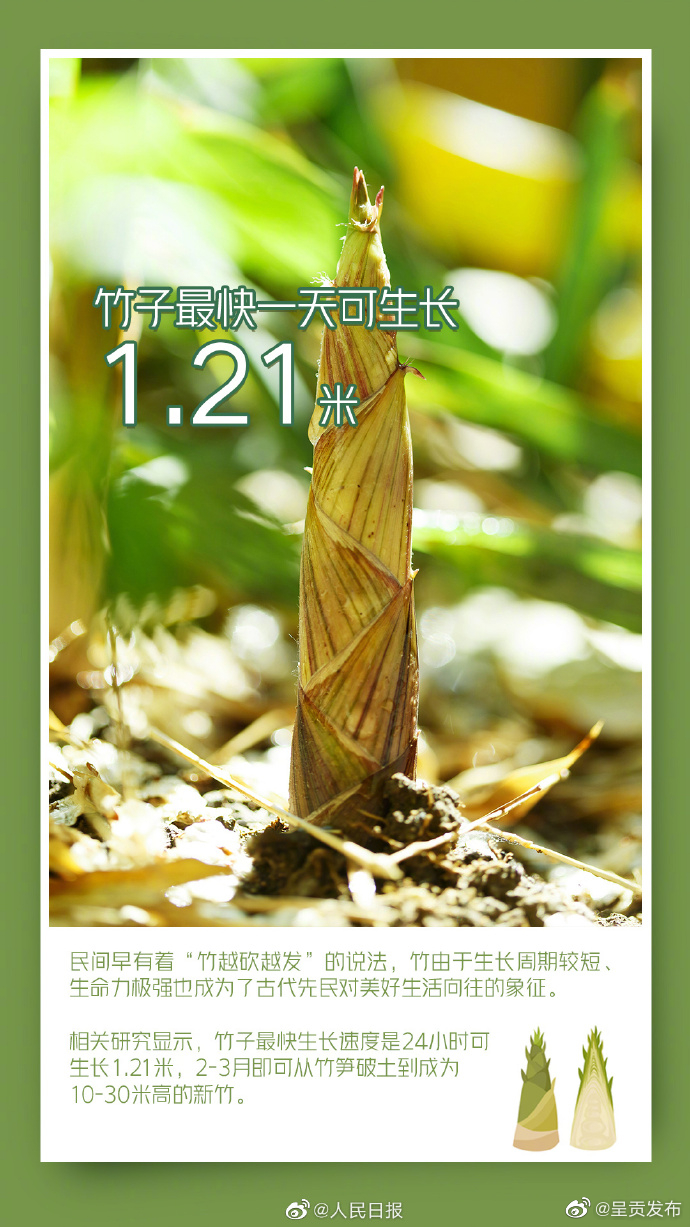 呈贡发布