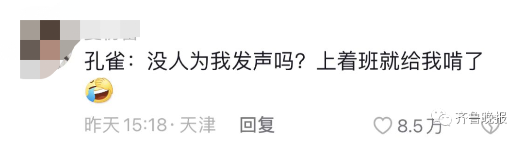 昆明信息港/cnkmxxg