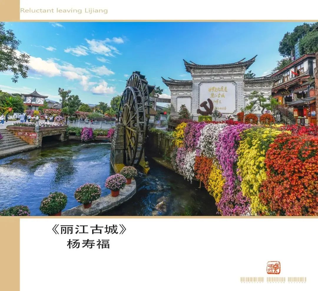 微丽江