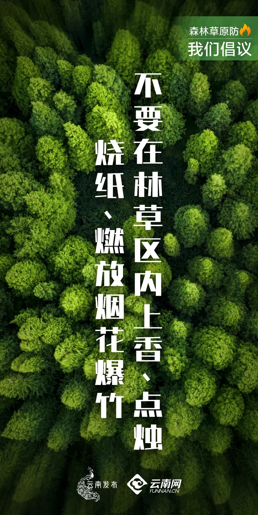 保山新闻网