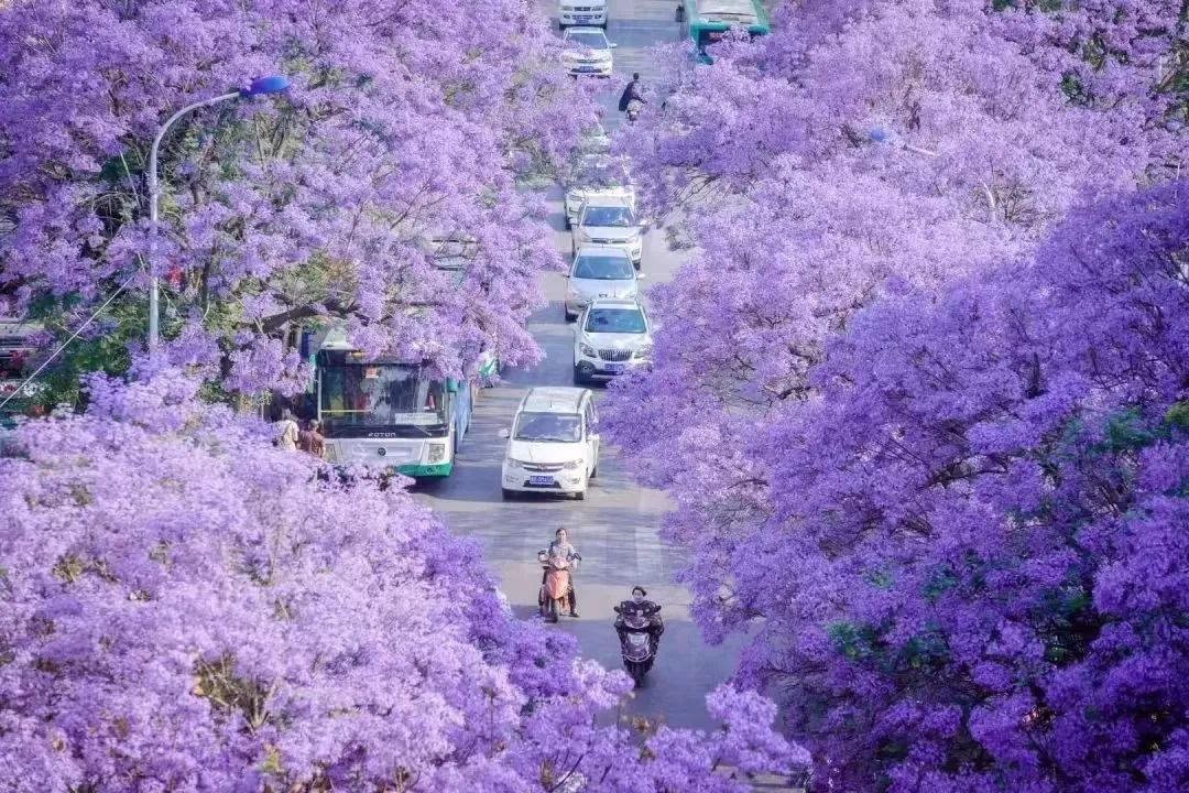 昆明文旅