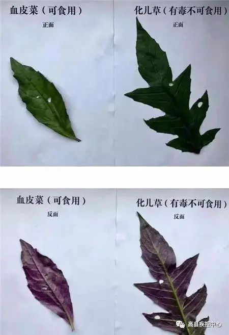 昆明信息港/cnkmxxg
