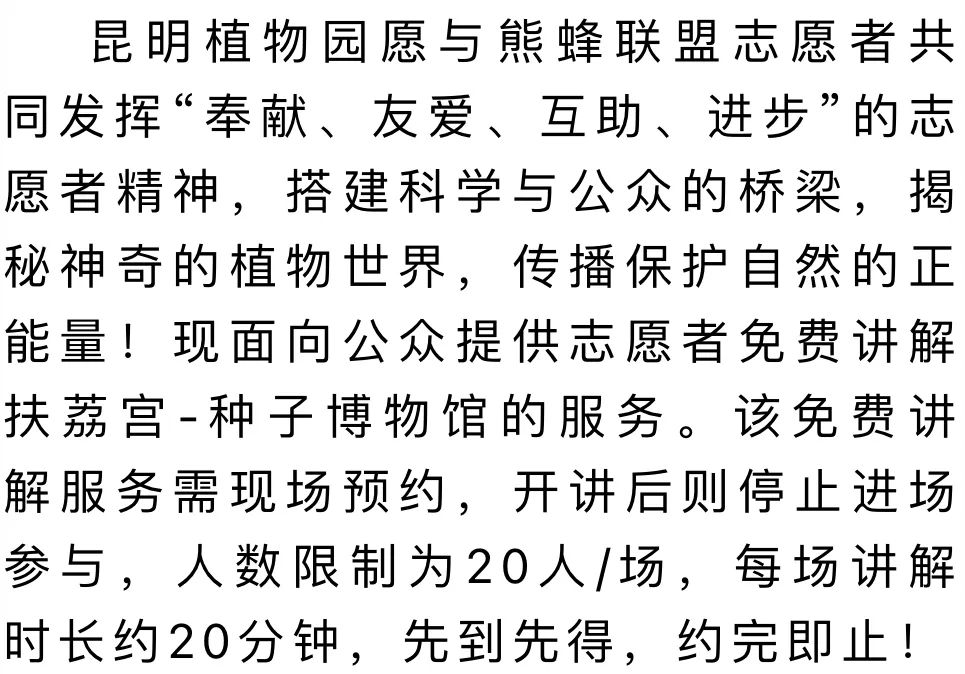 微观盘龙
