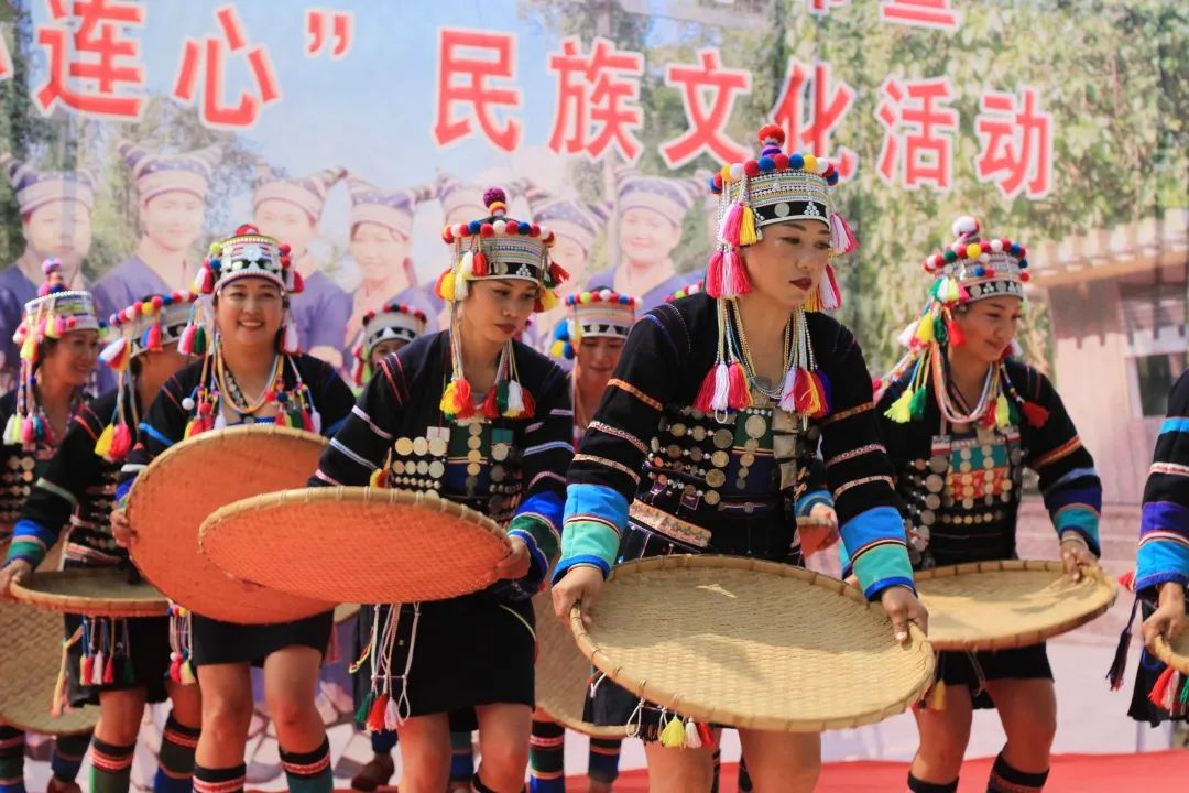 西双版纳望天树景区