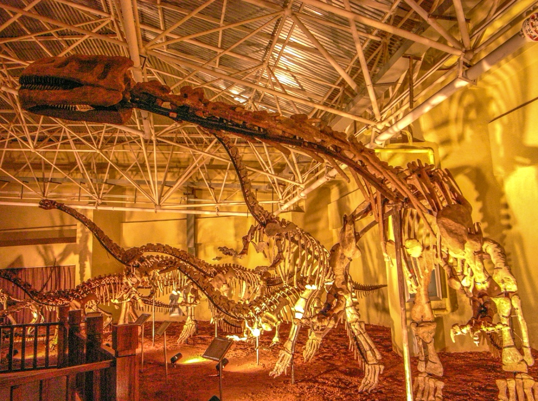 云南省文化和旅游厅