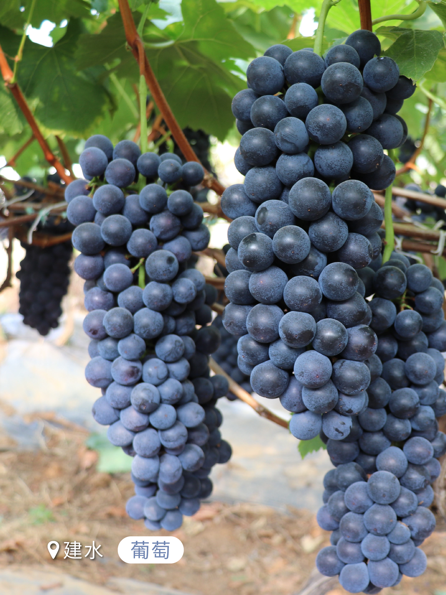 云南省文化和旅游厅