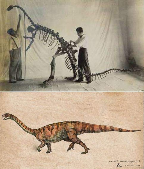 云南省文化和旅游厅