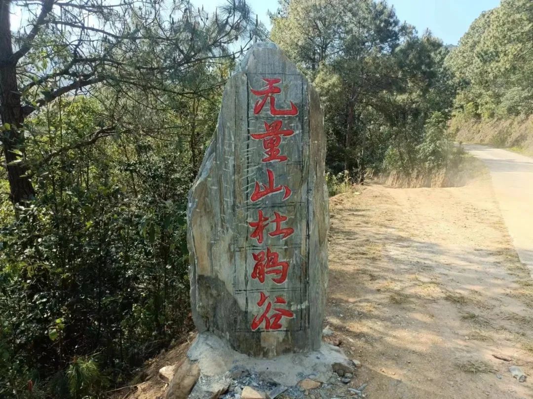 普洱日报