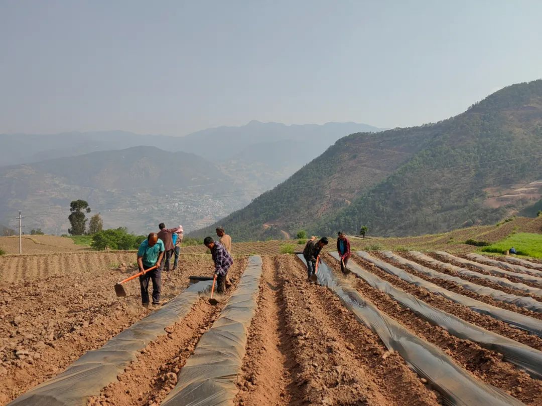 南涧党建彝乡先锋