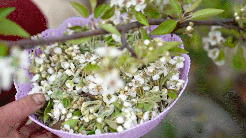 云南省文化和旅游厅