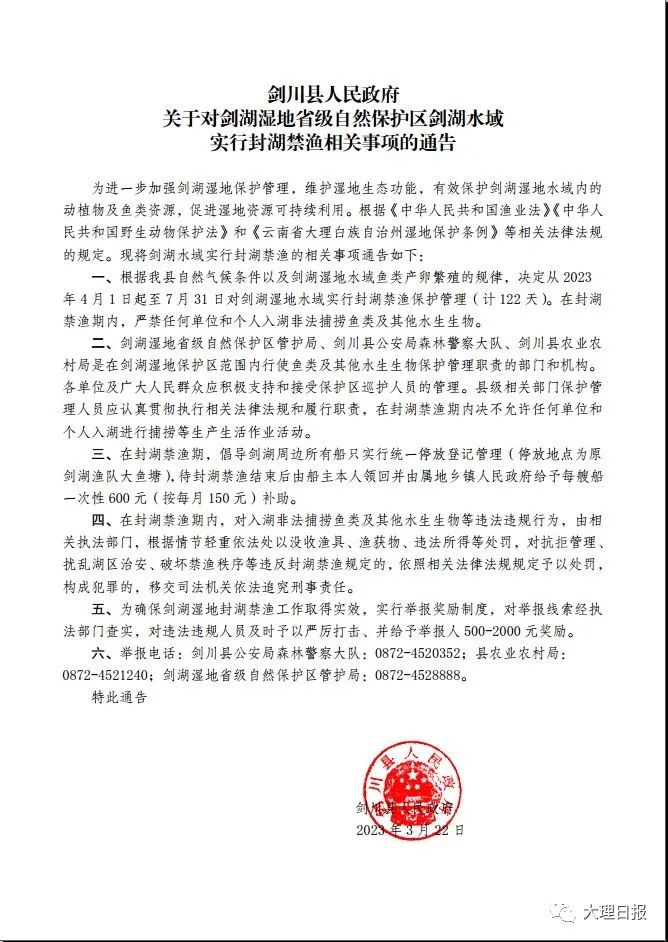 大理日报