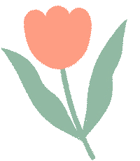 西双版纳望天树景区