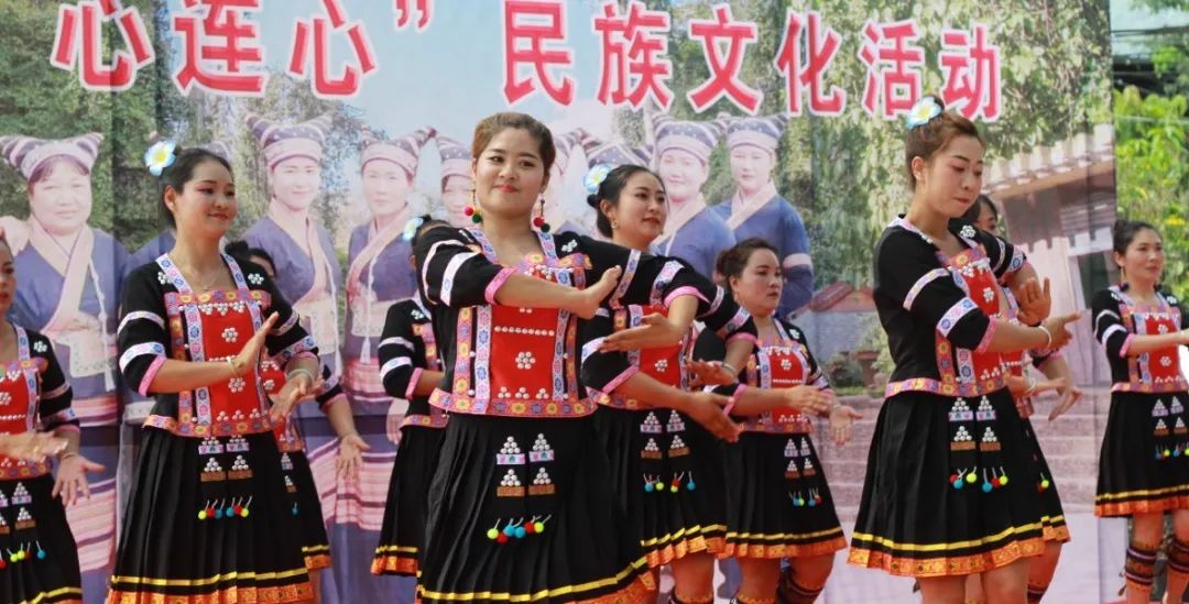 西双版纳望天树景区