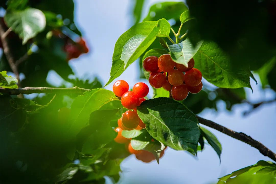 晋宁诗意的栖居地