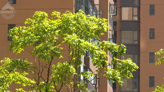 昆明信息港/cnkmxxg