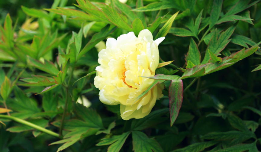 昆明阳宗海风景名胜区