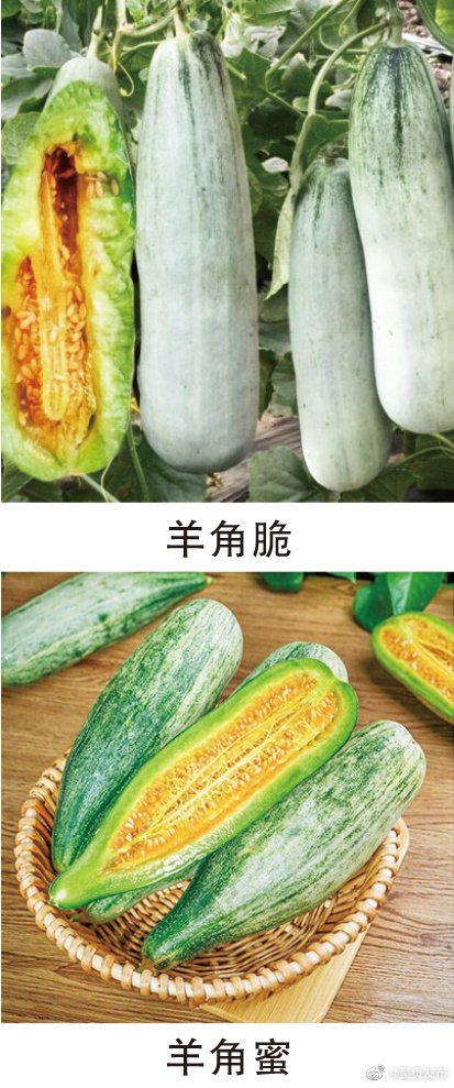 4点分清羊角蜜还是羊角脆