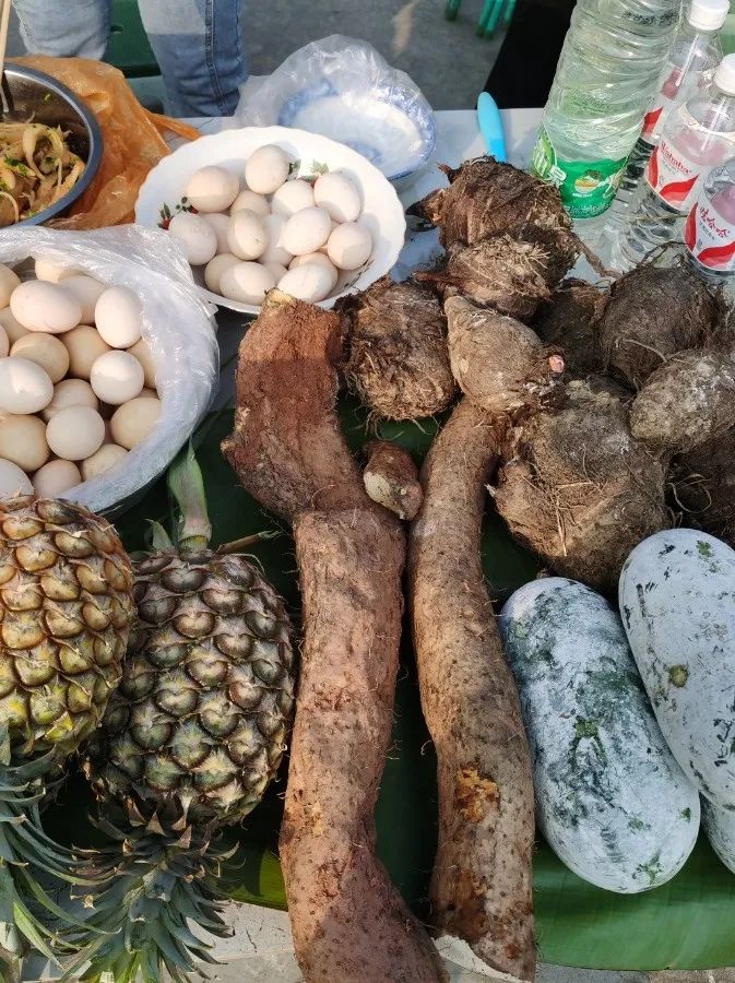 西双版纳望天树景区