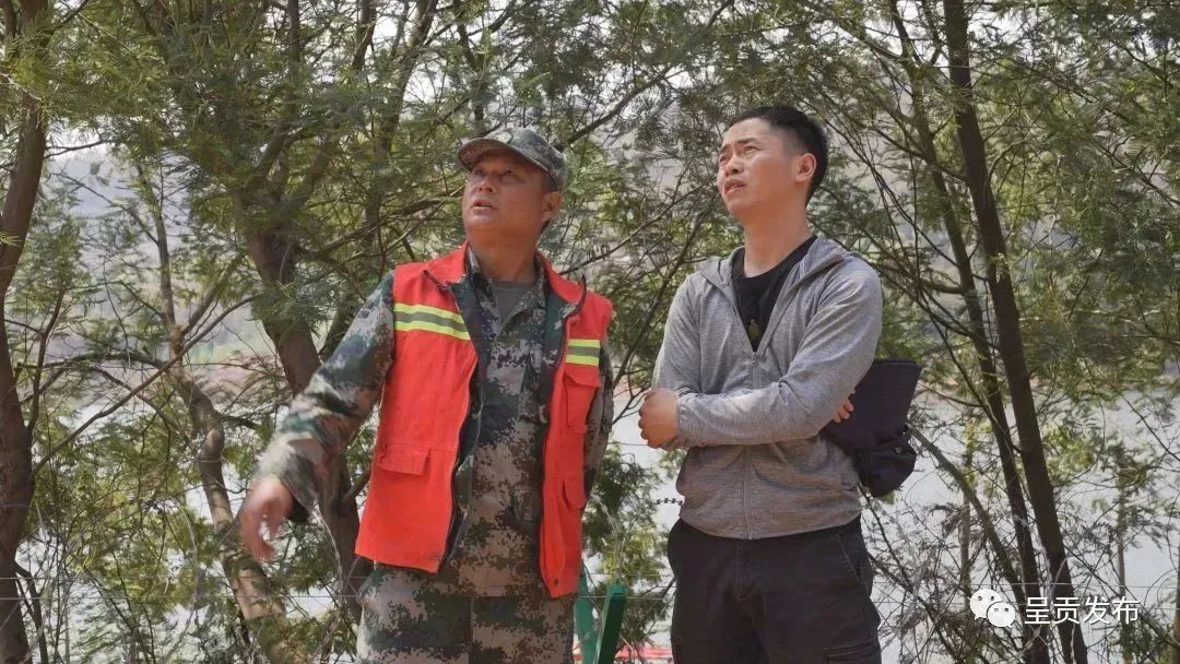 呈贡发布
