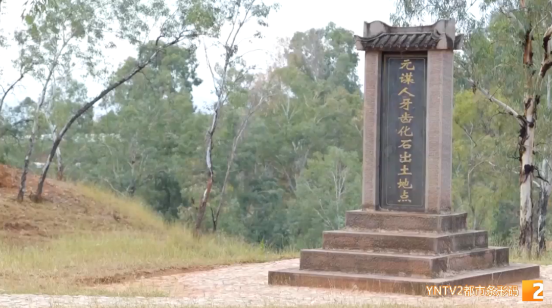 昆明信息港/cnkmxxg