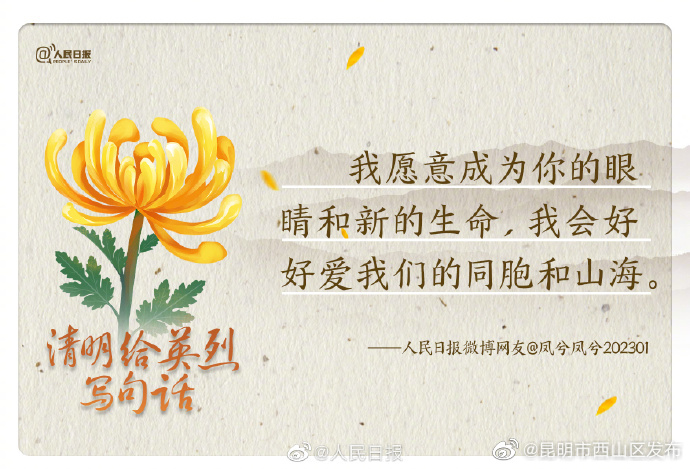 昆明市西山区发布