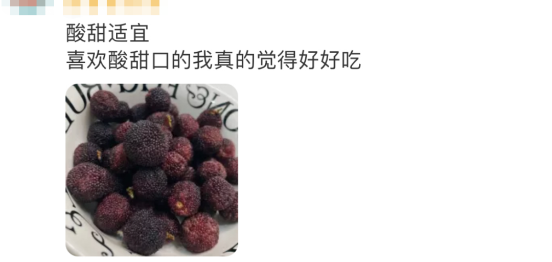 春城晚报