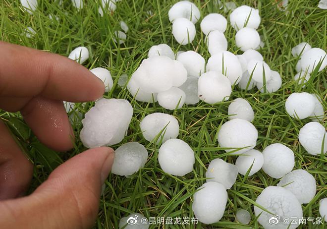 昆明盘龙发布