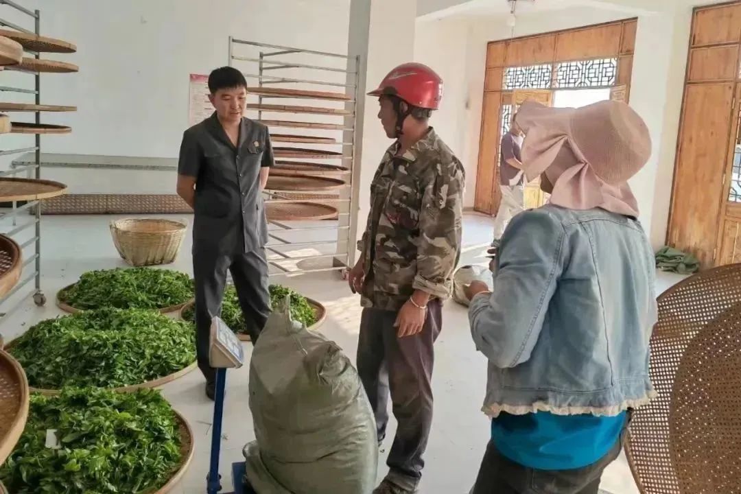 云南政法