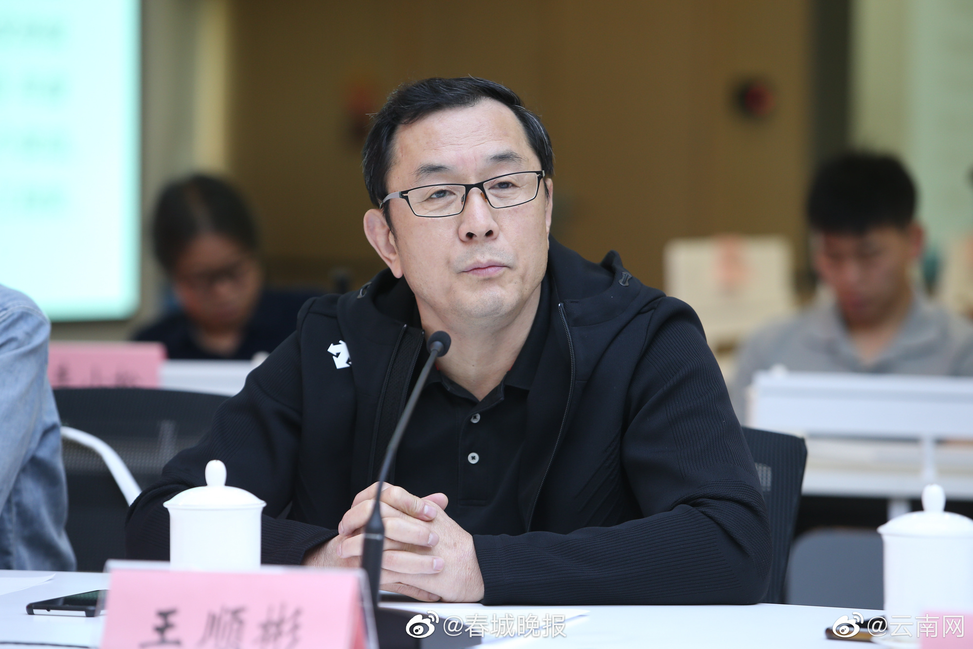 王顺彬：书写云南不仅是写山写水