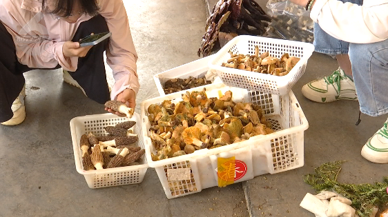 昆明信息港/cnkmxxg