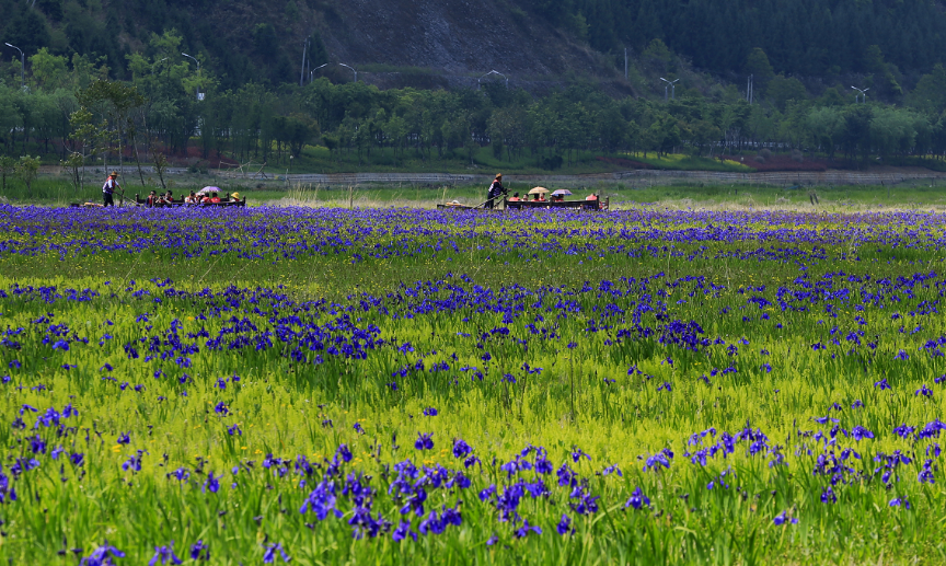 云南省文化和旅游厅