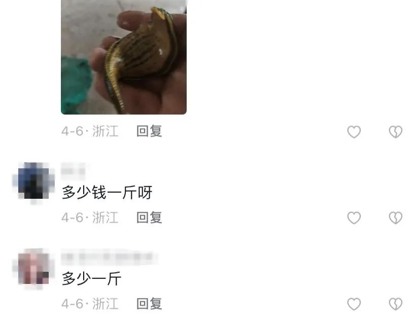 春城晚报