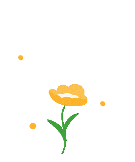 西双版纳望天树景区